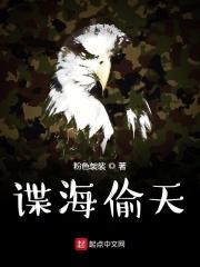 谍海偷天章节列表