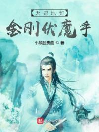 天罡地契金刚伏魔手章节列表