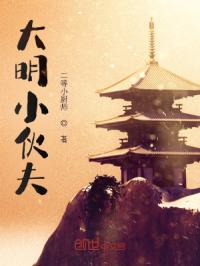 大明小伙夫章节列表