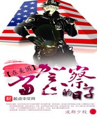 在美国当警察的日子章节列表