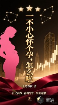 一不小心怀个孕，怎么啦章节列表