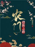 农门进阶之路章节列表