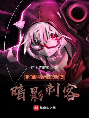 全职法师之暗影刺客章节列表